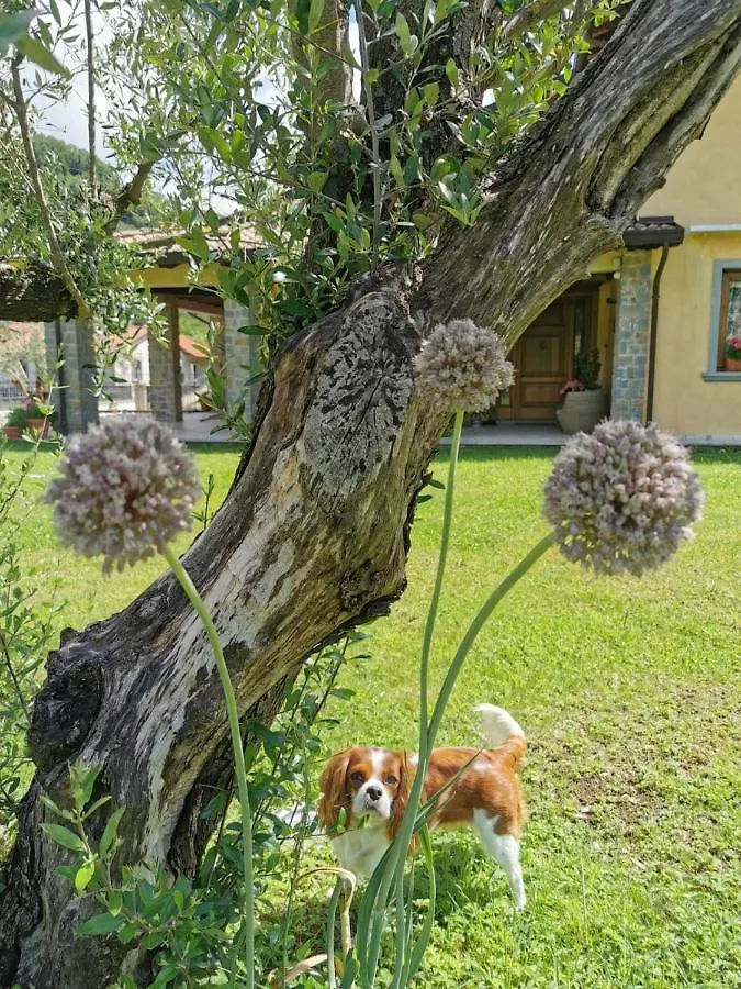 Casa vacanze Villa Giulia Gragnola