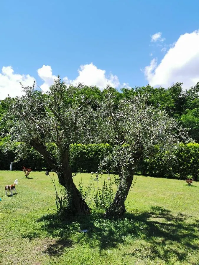 Villa Giulia Gragnola